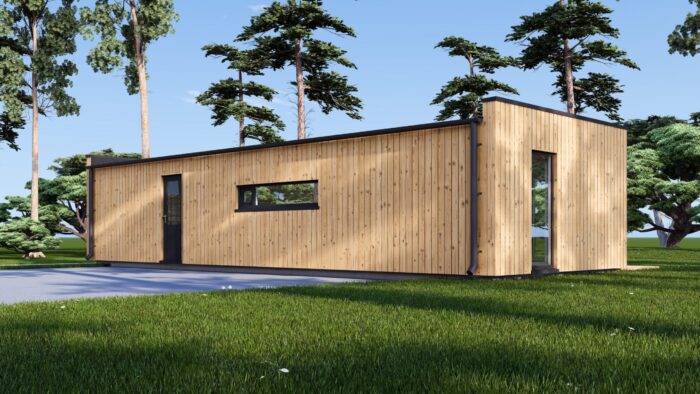 Wohnhaus BERTA 1 (66 mm + Holzverschalung Isoliert), 46 m² – Bild 3